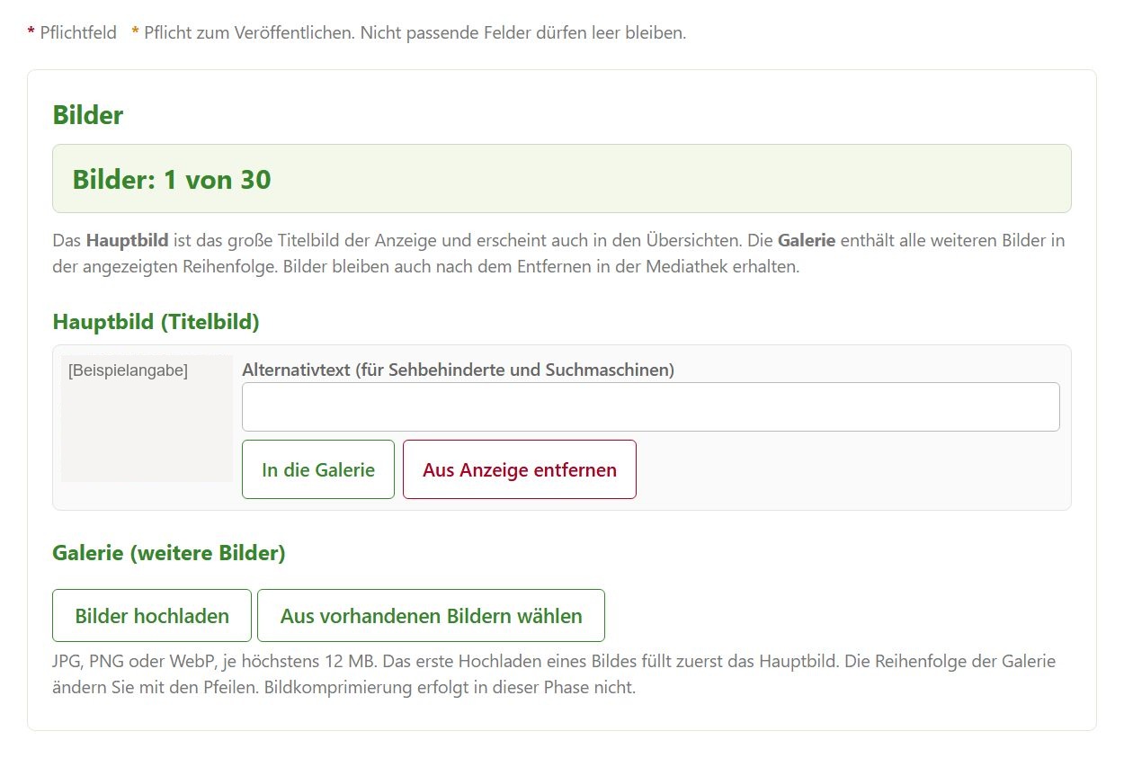 Abbildung